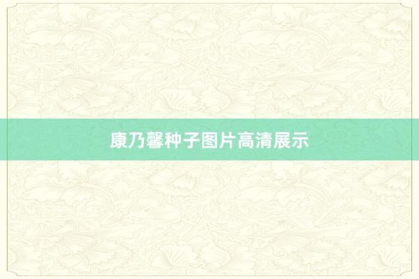 康乃馨种子图片高清展示